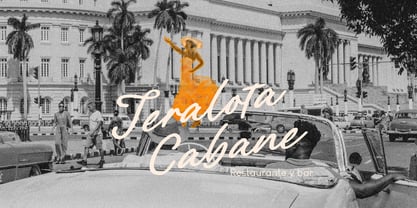 Paline Font Poster 5