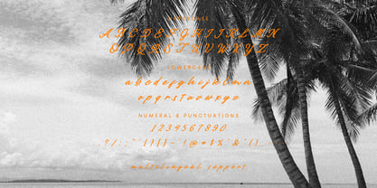 Paline Font Poster 6