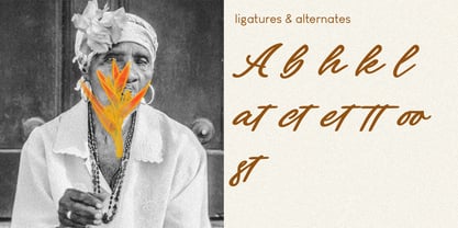 Paline Font Poster 2