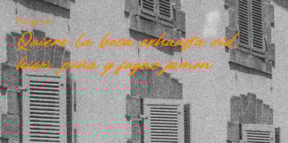 Paline Font Poster 8