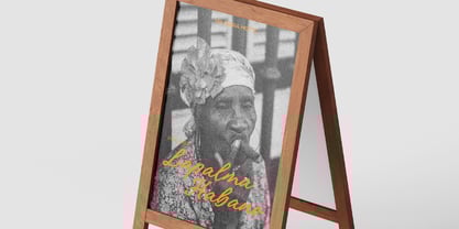 Paline Font Poster 7