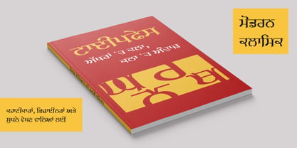 Shree Punjabi 3103 Font Poster 5