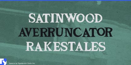 Zamora Font Poster 4