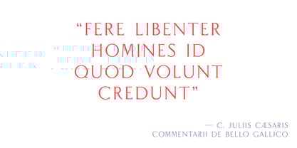 Flavium Font Poster 7