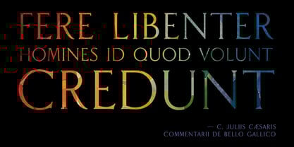 Flavium Font Poster 8