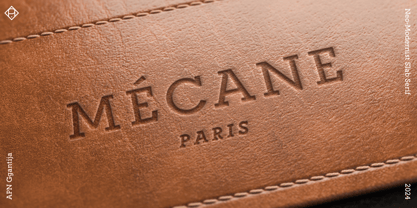 APN Ggantija Font Poster 5