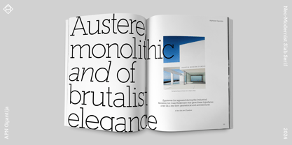 APN Ggantija Font Poster 8