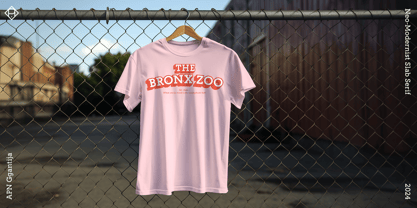 APN Ggantija Font Poster 9