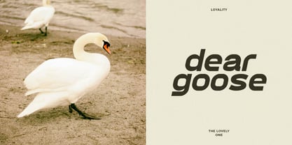 Attort Font Poster 7