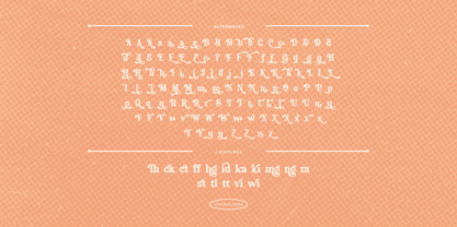 Velvet Mango Font Poster 3