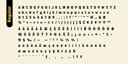 Fox Thunder Font Poster 9