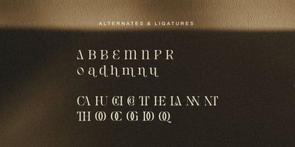 Rain Amoury Font Poster 6