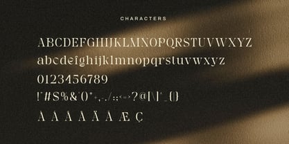 Rain Amoury Font Poster 7