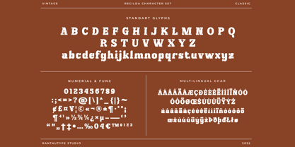 Recilda Font Poster 14