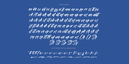 Vichellen Jordan Font Poster 14