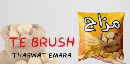 TE Brush1 Font Poster 3