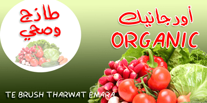 TE Brush1 Font Poster 5