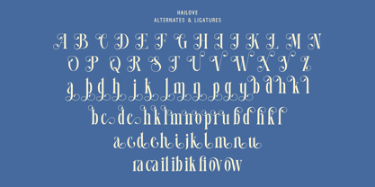 Hailove Font Poster 14