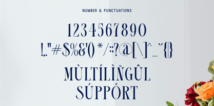 Hailove Font Poster 13