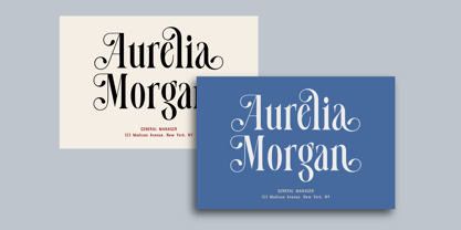 Hailove Font Poster 9