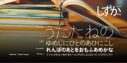 Shizuka Gothic Font Poster 5