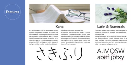 Shizuka Gothic Font Poster 3