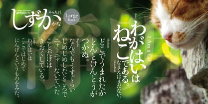 Shizuka Mincho Kana La Font Poster 5