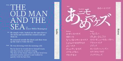 Shizuka Mincho Kana La Font Poster 4