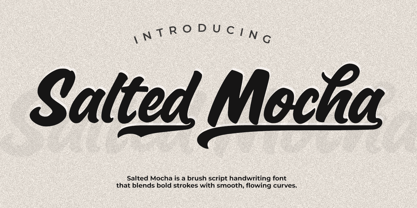 Salted mocha Font Poster 1