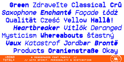 Mono Total Font Poster 6