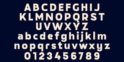 Megazine Poster Font Poster 9