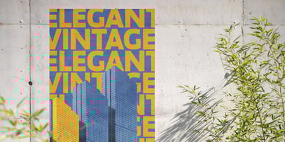 Megazine Poster Font Poster 8