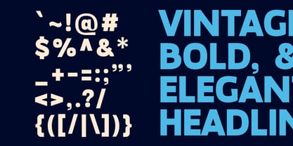 Megazine Poster Font Poster 10