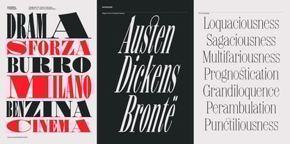 Shomina Font Poster 4