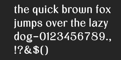 Astyn Brigid Font Poster 11