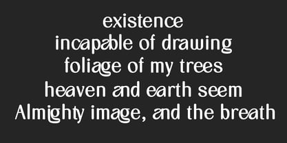 Astyn Brigid Font Poster 9