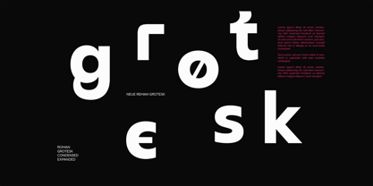 Neue Reman Gt Font Poster 3