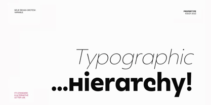 Neue Reman Gt Font Poster 5