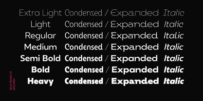 Neue Reman Gt Font Poster 6