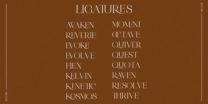 Ravure Font Poster 5