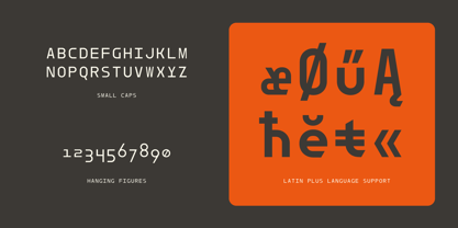 Dymaxion Core Mono Font Poster 5