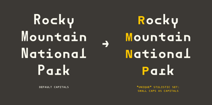 Dymaxion Core Mono Font Poster 8