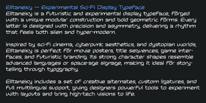 Elltaneixy Font Poster 12
