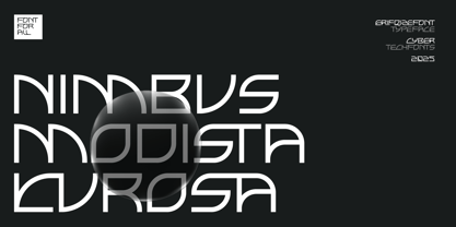 Elltaneixy Font Poster 2