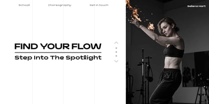 Dynalune Font Poster 3