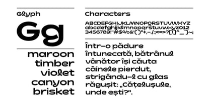 Dynalune Font Poster 2