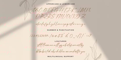 Alatas Script Font Poster 6