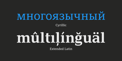 PF Adamant Pro Font Poster 8