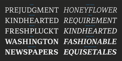 PF Adamant Pro Font Poster 6