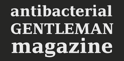 PF Adamant Pro Font Poster 3